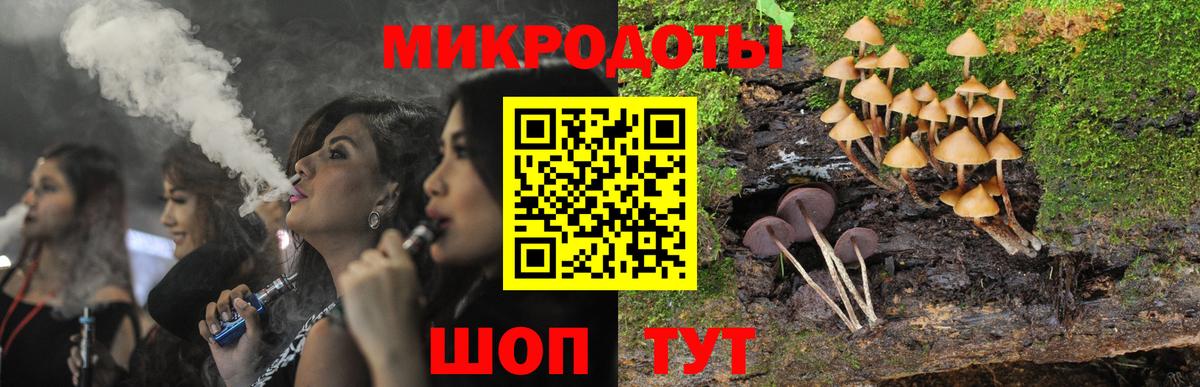 Псилоцибиновые грибы Psilocybe Волжск